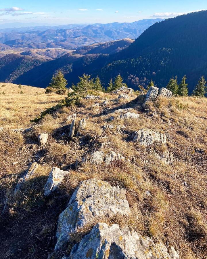 Ivkovic Spa Milmari N16 Kopaonik Eksteriør bilde